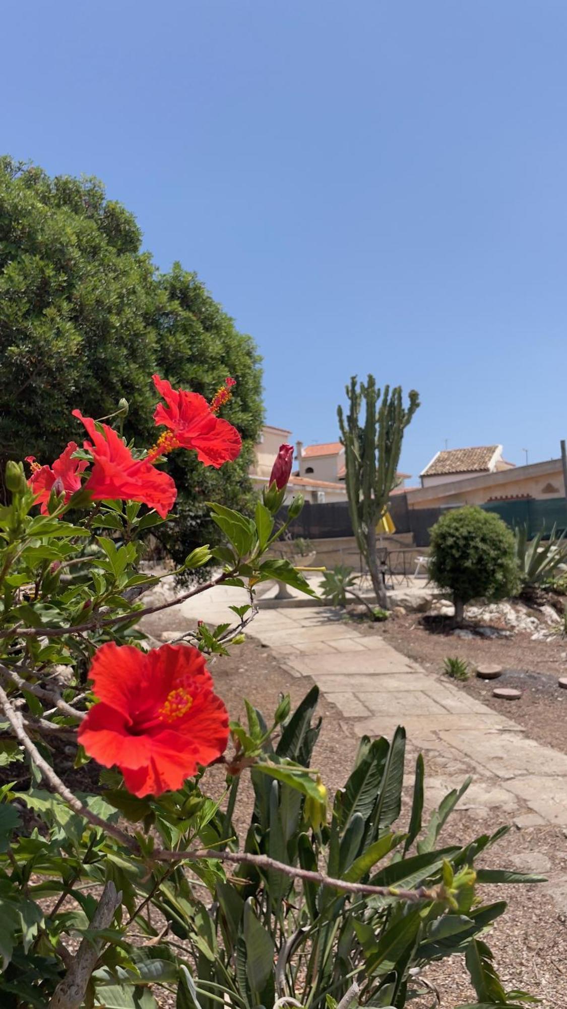 Villa La Torretta Di Ognina Exterior foto